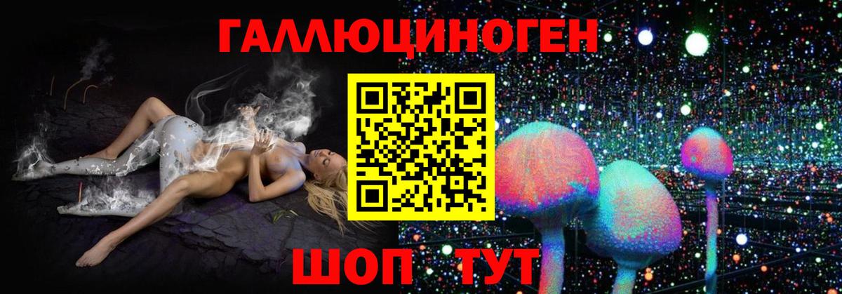 Галлюциногенные грибы MAGIC MUSHROOMS  Галлюциногенные грибы Psilocybine cubensis  Елец  Вход с VPN 